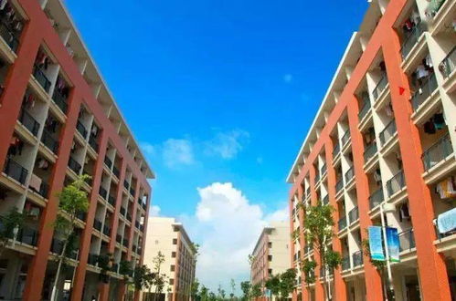 重磅 金灣爆發(fā),多盤房價破3萬 地鐵 直通橫琴 下一個珠海市中心來了