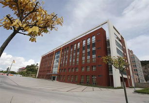 珠海金灣5所本科高校投檔線公布，職業(yè)教育培訓(xùn)助力學(xué)子成才